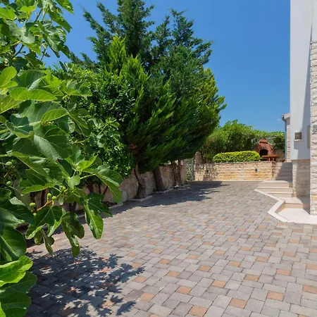 Maslenica Ясенице