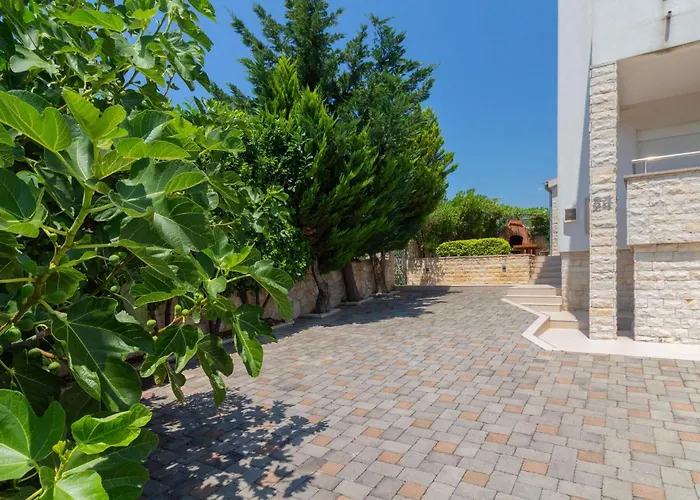 Maslenica Ясенице